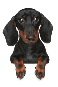 Bildquelle - © iStock