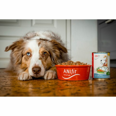 Hund Hundefutter Nassfutter Falscher Hase 400g 6 Stück -3- Anifit