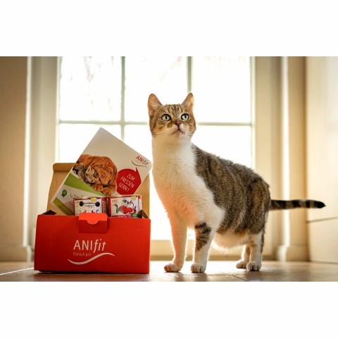 Katze Nassfutter Schnupperpaket Katzen 810g 1 Paket mit verschiedenen Sorten / Testpackungen -5- Anifit