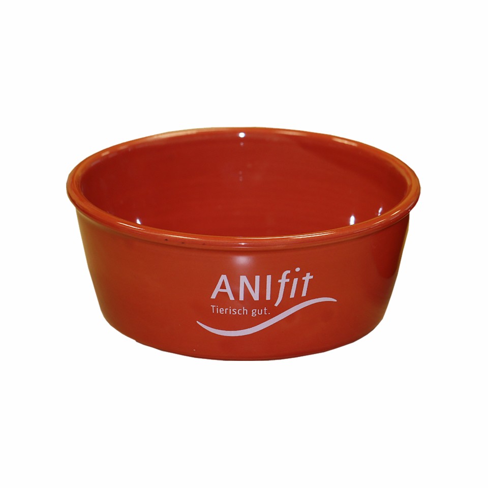 Groer Keramiknapf fr Hunde  stabil & hygienisch | ANIfit