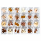 Hund Katze Snacks Zubehör Adventskalender Hund/Katze 1 Stück -2- Anifit