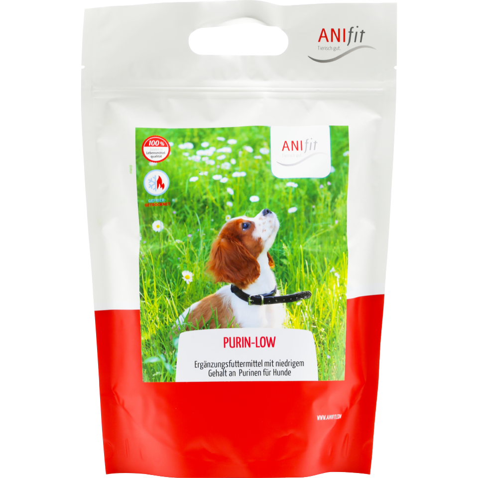 hunde nassfutter Nassfutter Rind für Hunde